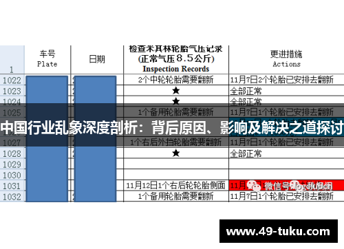 中国行业乱象深度剖析：背后原因、影响及解决之道探讨