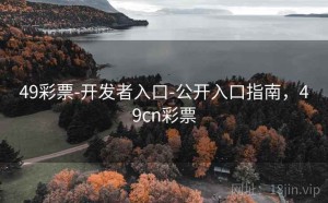 49彩票-开发者入口-公开入口指南，49cn彩票
