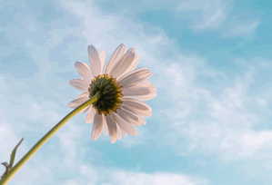 2-数据报告-同尾统计-工具箱-口径清晰