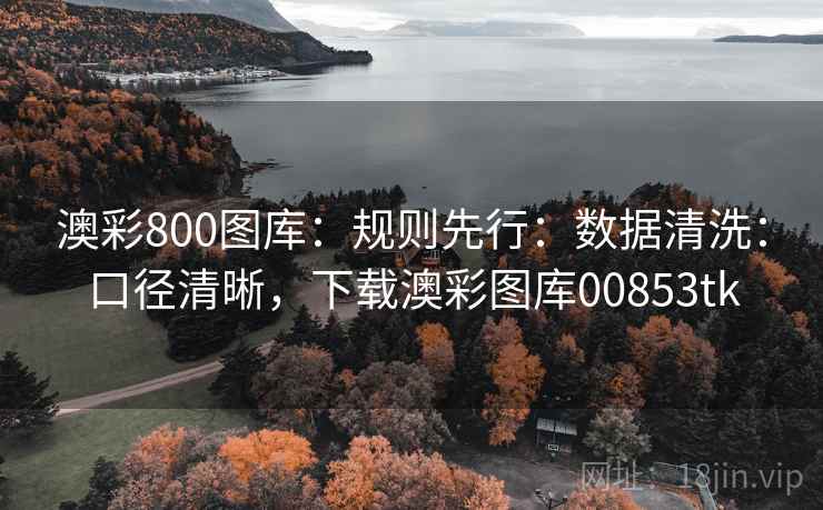 澳彩800图库：规则先行：数据清洗：口径清晰，下载澳彩图库00853tk