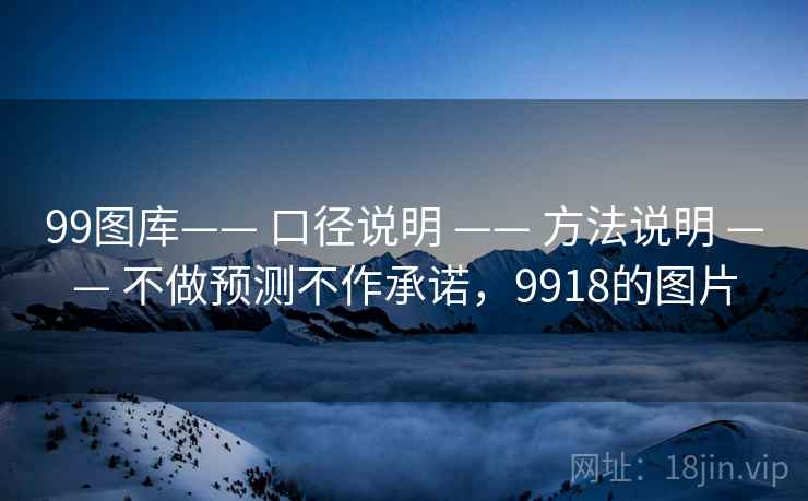 99图库—— 口径说明 —— 方法说明 —— 不做预测不作承诺，9918的图片