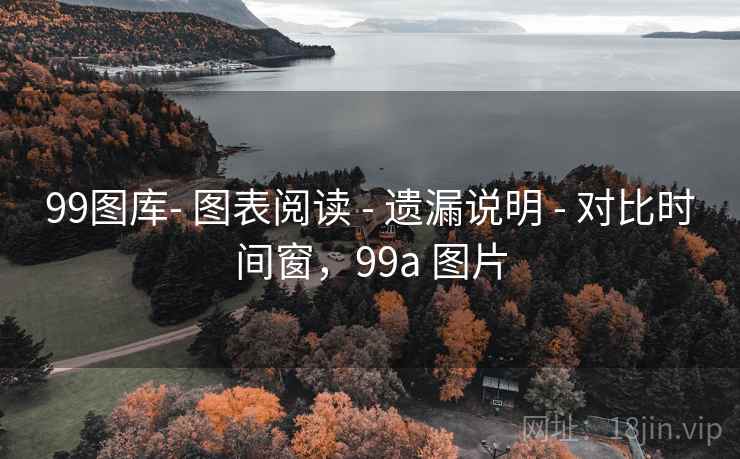99图库- 图表阅读 - 遗漏说明 - 对比时间窗，99a 图片